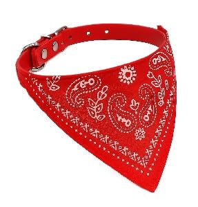 Katzenhalsband mit Bandanatuch in Paisleyoptik und Schnalle in Größe S: 20-26cm Halsumfang