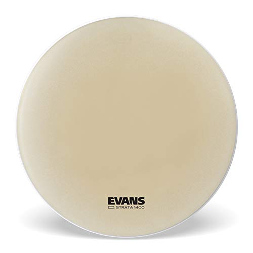 EVANS �G���@���X Strata Staccato 1400 �R���T�[�g�o�X�w�b�h 40" CB4014S �y�������K�i�z