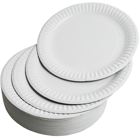 100-Pack Premium White Paper Plates Cover