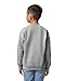 Gildan Heavy Blend Youth 8 oz, 50/50 Fleece Crew Sweatshirt (Sport Grey, Medium)