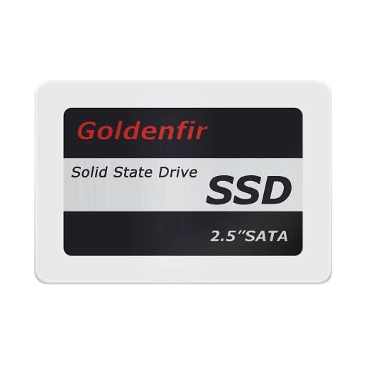 SSD Goldenfir 256GB Sata