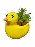 SJBAG Cute 4.5 Inches Indoor Cartoon Animal Duck Shaped Ceramic Succulent Cactus Flower Plant Pots Planter - Plant Not Included (Medium)