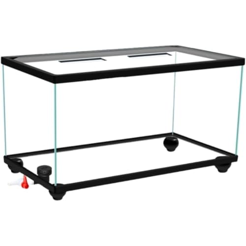 Queeninget�W�t���J���^���N�A�K���X�J�b�v�A঒��ރP�[�W�A�����ގ���{�b�N�X�A�ꕔ�r�����t�� (60cm)