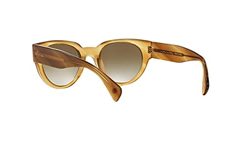 Paul Smith KEASDEN PM8247SU - 14366U Sunglasses Matte Striped Brown Frame 51mm w/ Brown Fade Lens3