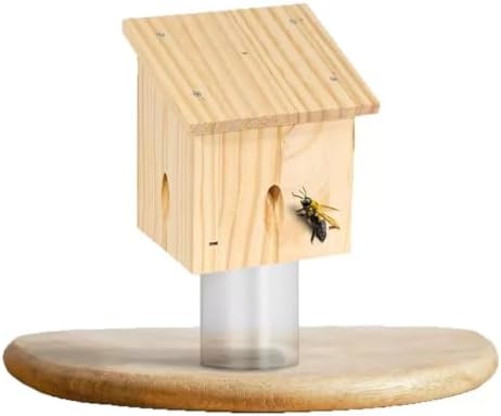 gosduiwip Hanging Carpenter Bee Trap Designed for Outdoor in Nature Facing South Or Southwest Wood Outdoor Bee Traps Bee Trap, C — view 7