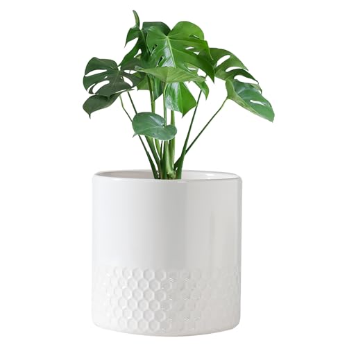 Docrin Ceramic Planters Indoor, 8 Inch Plant Pots with Drainage Holes for Home/Office - White Honeycomb