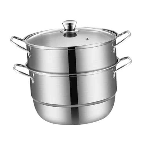 Gcljlmy Olla de vapor de acero inoxidable de 2 niveles, olla de vapor y asa, olla de vapor de cocina para cocinar albóndigas y verduras