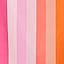Summer - Miami Sorbet