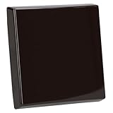 Busch-Jaeger 2106-31 Wippe