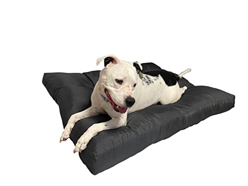 Pillows24 Hundebett in 3 Größen M, L und XL erhältlich, 10 cm hoch, Hundematte ideal für kleine, mittlere und große Hunde, waschbares Hundekissen, 100% Oxfort-Polyester, leicht zu reinigen