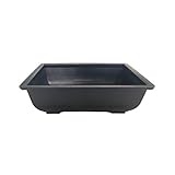 bonsai grande amazon Plástico resistente Cuir D\'or Tiesto para Bonsai 15cm de plástico Resistente