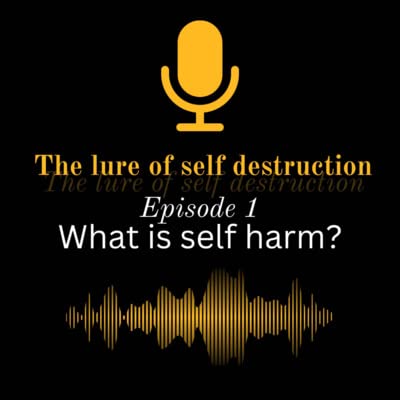 Page de couverture de What is Self Harm?