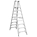 Werner (PT378) Twin Platform Ladder, Aluminum