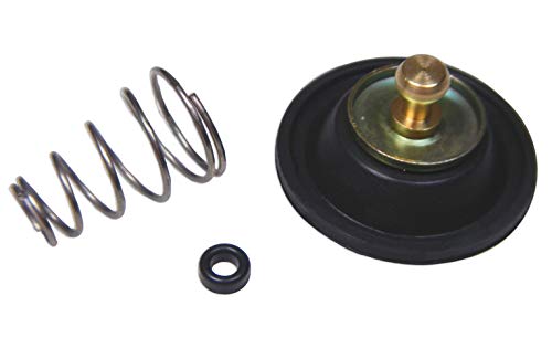 RW 0104-003 Carburetor Air Cut Off Valve Rebuild Repair Parts Kit Compatible with Honda