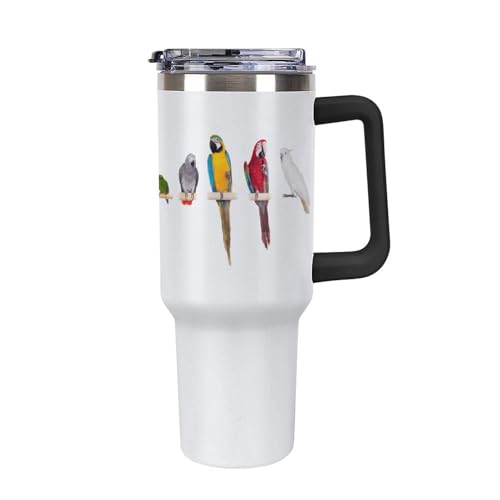 CR IE  ^u[ Wt ԗpRbv @r  s{g t Xg[t 1.18L L e ^fM d\ ۉۗ XeX r[/R[q[ jp ^