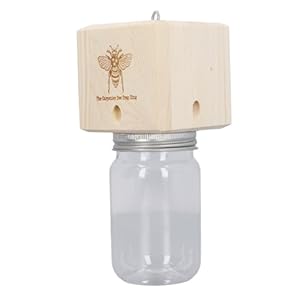 Stylebest Holzbienenfalle mit Glasbehälter