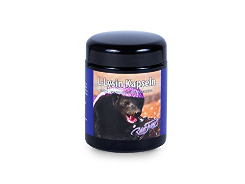 Preisvergleich Produktbild Robert Franz - L-Lysin 180 Kapseln
