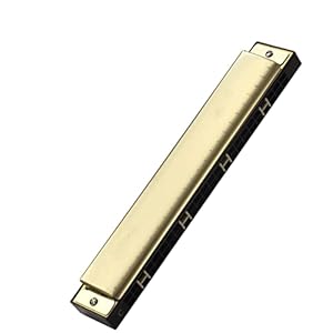 Yuxahiugkq Armonica Small Mond Harmonica Sleutel 24 Gatenchromatische Slive Professionele Mond Orgel Draagbare Tremolo Mini Harps Woodwind Instruments (Color : 2)