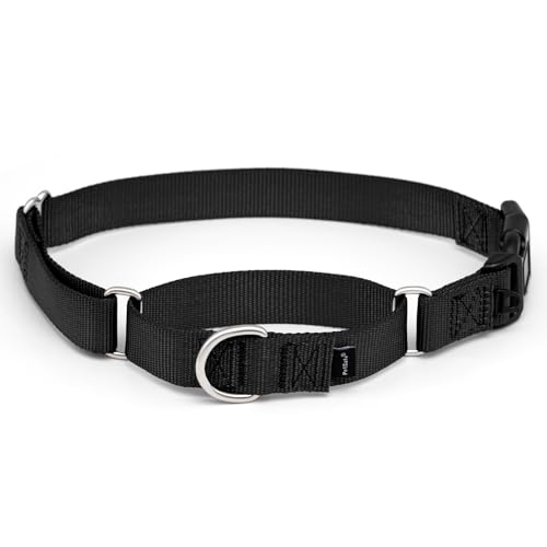 PetSafe Martingale Dog Collar with Quick-Snap Buckle Large, 1 Inch, Black