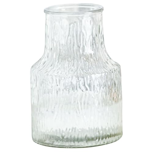 Jarrón de vidrio moderno para cultivar plantas en agua sin manchar 2