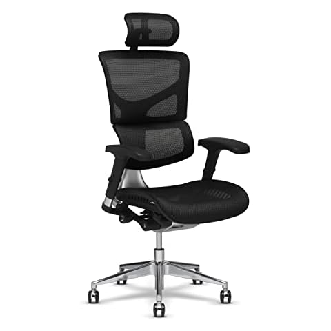 X-Chair X2 Management Task Chair, Black K-Sport Mesh Fabric with Headrest - Ergonomic Office Seat/Dynamic Variable Lumbar Support/Floating Recline/Highly Adjustable/Perfect for Long Work Days Cover