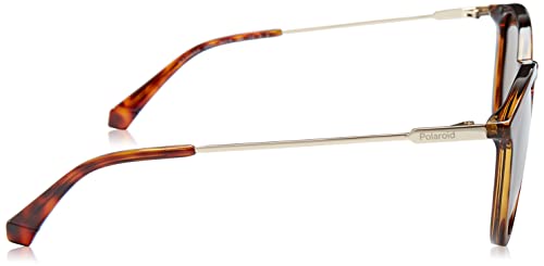 Polaroid Panto Sunglasses S/X3