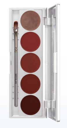 Kryolan 5015 Cream Blusher 5 Color PaletteAward Winning (Multiple Color Options) (Beauty)