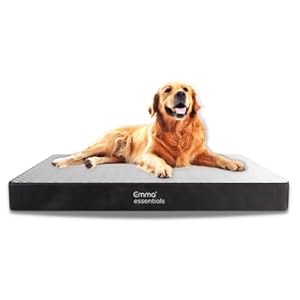 Emma Essentials Ortopédica Cama para Perros Talla M, Lavable, 7.5 cm de Altura, 76×50 cm