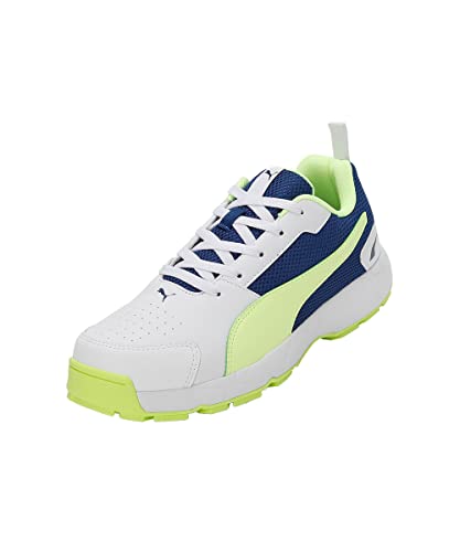 Image of Puma Men Cricket HighRun Cricket Shoe