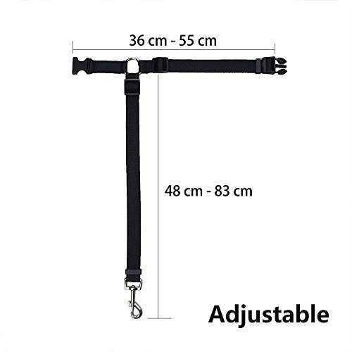 LKY Cintura di sicurezza per cani, regolabile e