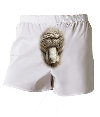Michelangelo Sculpture of David's Mens Underwear Boxer Short