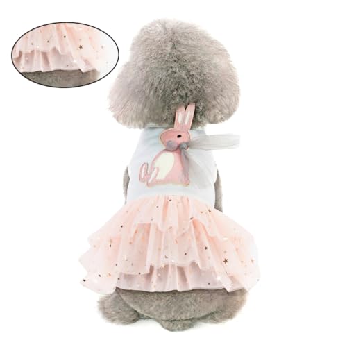 FONDOTIN ybgp[X``XJ[g ^pzCg ETMhX  p[eB[Be UpyʉK