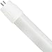 Green Creative 97901 PAR20 Flood LED Lightbulb, 3000K (Soft White), Dimmable, CRI 90, 8W, 550 lm, Energy Star, 40?