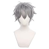 Mystylecos ES Sena Izumi Short Grey Cosplay Wig Ensemble Stars Halloween Costume Wig