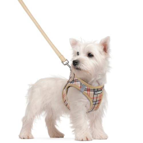 Image of rabbitgoo Dog Harness Small Sized and Leash Set, Step-in Puppy Pet Vest