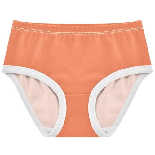 Joisal Toddlers Underwear Floral 2t Cotton Panties for Girl Artistic Undies Kids Briefs Coral Orange Pink