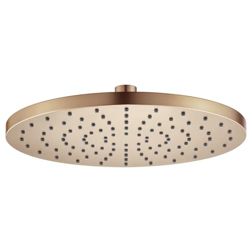 AONEON Rainhead Waterfall Shower Head 10-Inch Large Bathroom Overhead Fixed Showerhead High Pressure 2.5 GPM with Adjustable Angle Champagne Bronze SH001CPG-D10