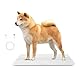 Digitale Haustierwaage für Hunde und Katzen, große Hundewaage, max. 220 Pfund, wiederaufladbare Version, 3 Wiegemodi Pfund, kg, st, Präzision 10 g, 27,16 x 12,99 Zoll