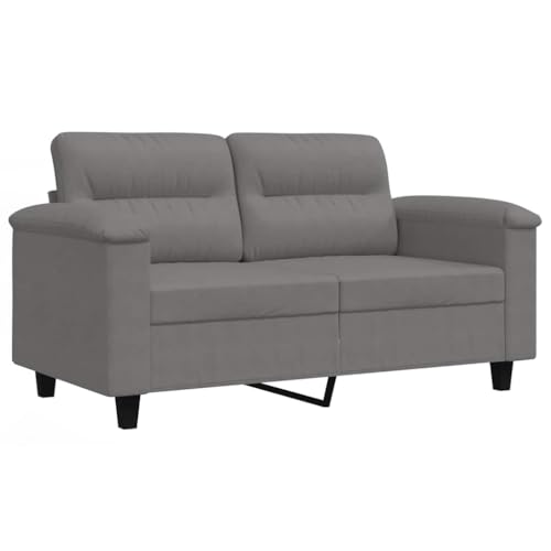 Sofá de 2 plazas cómodo en microfibra gris oscuro con soporte metálico resistente de 150 cm 2