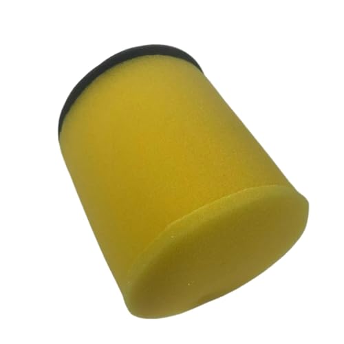 Filtre à air haute filtration pour Suzuki Vinson 500 et KFX400