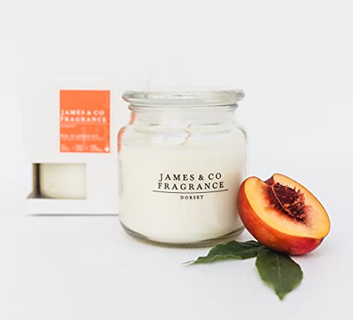James & Co No.13 - Candela profumata in barattolo grande, fragranza naturale, fino a 60 ore di combustione, 400 ml, colore: Albicocca (pesca e albicocca)
