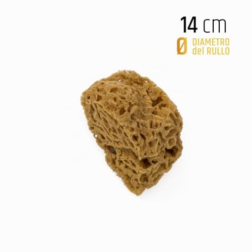 Miniatura 2 de Pennellificio 2000 Esponja De Mar Natural Del Mediterráneo, Esponja Para Efectos Decorativos De Pared, Diámetro De 14 Cm, Productos De 1 Calidad