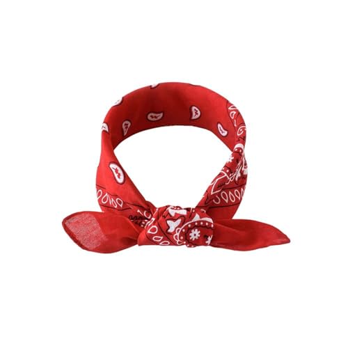 Lu's Chic Women's Cool Rapper Bandana Cotton Durags Fall Casual Fashion Regular Fit Summer Thin Hair Scarf