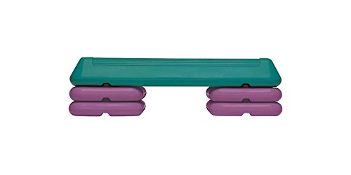 Freestyle Step F1004 The Step Circuit Size Aerobic Platform cover
