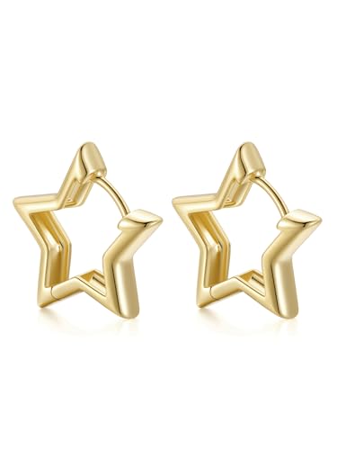 FindChic Star Earrings 20mm 14K Gold Plated Star Hoop Earrings Hypoallergenic Small Huggie Hoops Lightweight Funky Cute Jewelry Birthday Gift for Her