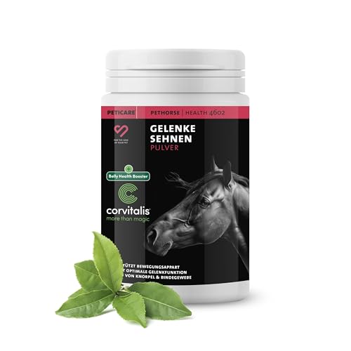 Peticare Gelenk-Kur Pulver für Pferde | Unterstützt Gelenke & Sehnen, Knorpel | Natürliche Inhaltsstoffe für alle Altersgruppen & Ponys | Mit MSM & Grünlippmuschel | petHorse Health 4602