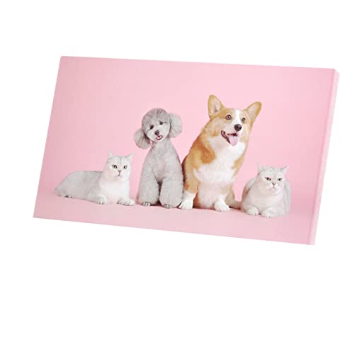 Tableau chat et chien idée cadeau originale pour amateurs de décoration et d'animaux mignons