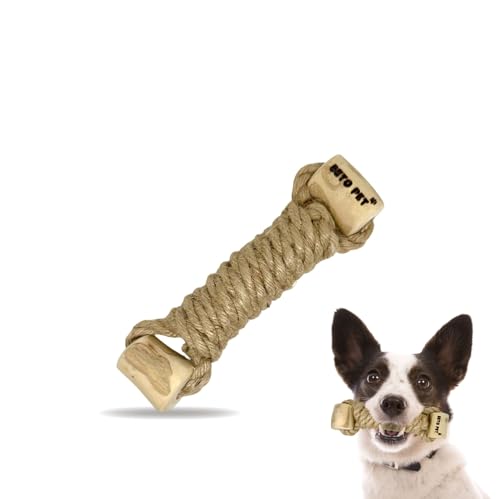 BETO PET ނ _x mߋ R[q[̖   XgX Y 100%i` VR R[q[Ebh wv xgiY ^E^ CC02i (1{, M)