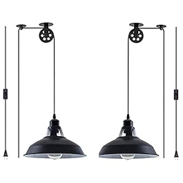 Plug in Pendant Light...