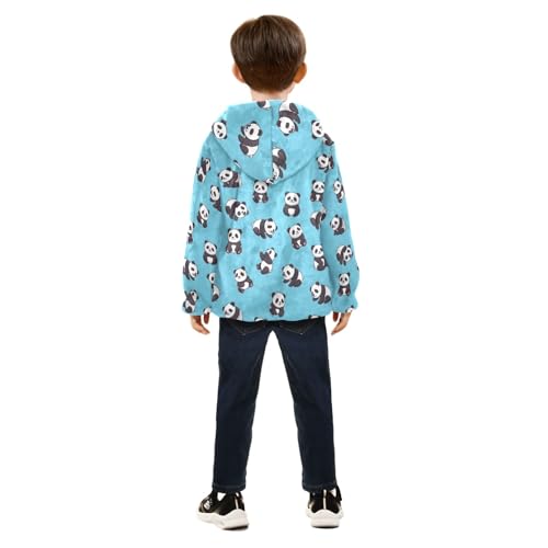 CHIFIGNO Cute Pandas Blue Toddler Boy Winter Jacket, Boy Zip up Hoodie Warm for Fall Winter Spring 3T4